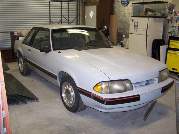 mustang 006 (Medium) (Copy)