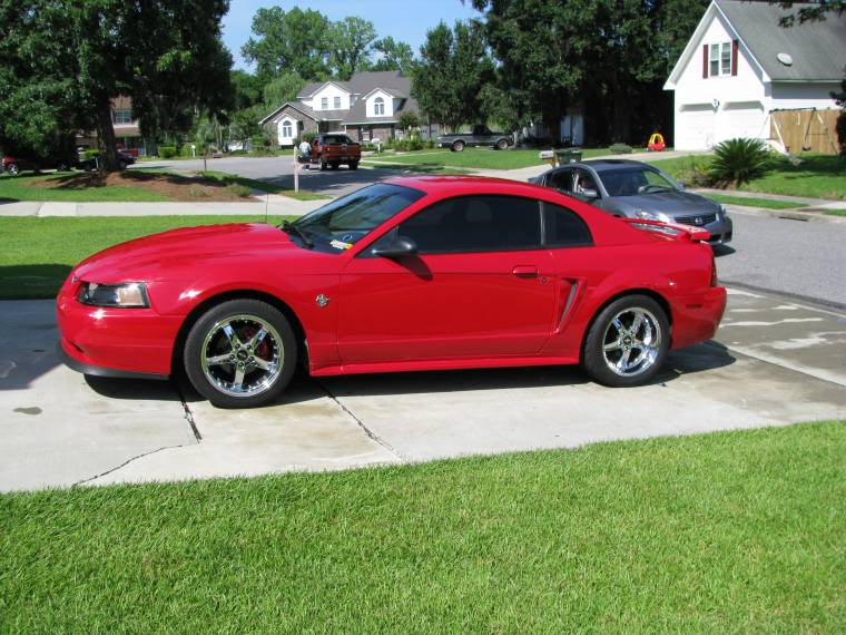 mustang