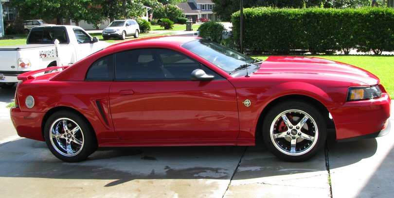 mustang