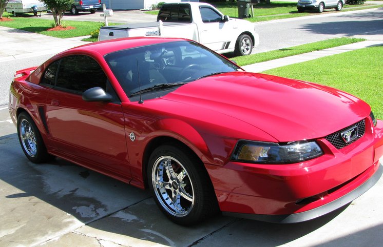mustang